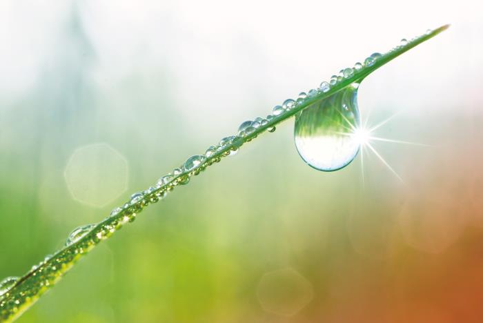 Schur Flexibles Group combines sustainability and excellent performance